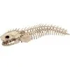 SKELETON EEL