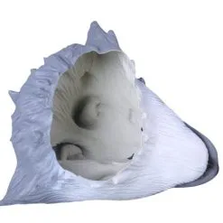 The Bad Guys Mr. Wolf Cosplay Mask -Cheap Halloween Decor Store hlw mask badwolf 4