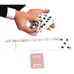 LAS VEGAS SWINDLE CARDS