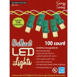 HOLIDAY LIGHTS 100L M5 WRM WT