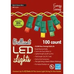 HOLIDAY LIGHTS 100L M5 MU