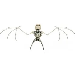 BAT SKELETON