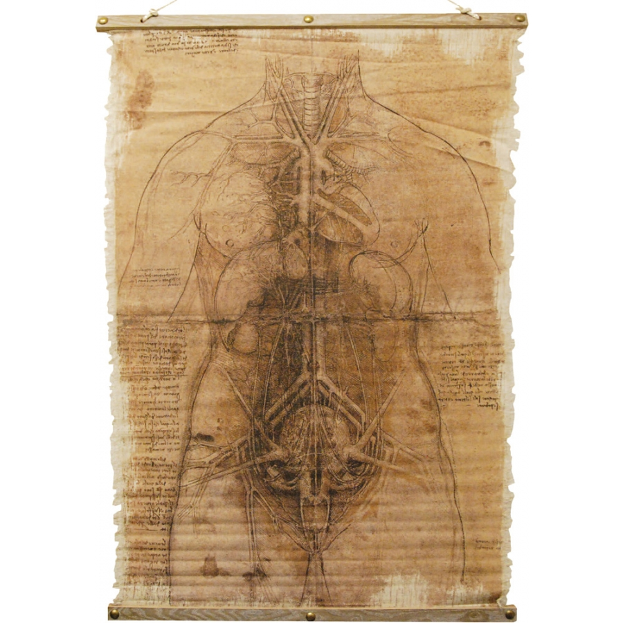 SCROLL SKELETON 1 SCROLL SKELETON