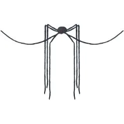 SPIDER BLACK LONG LEGS