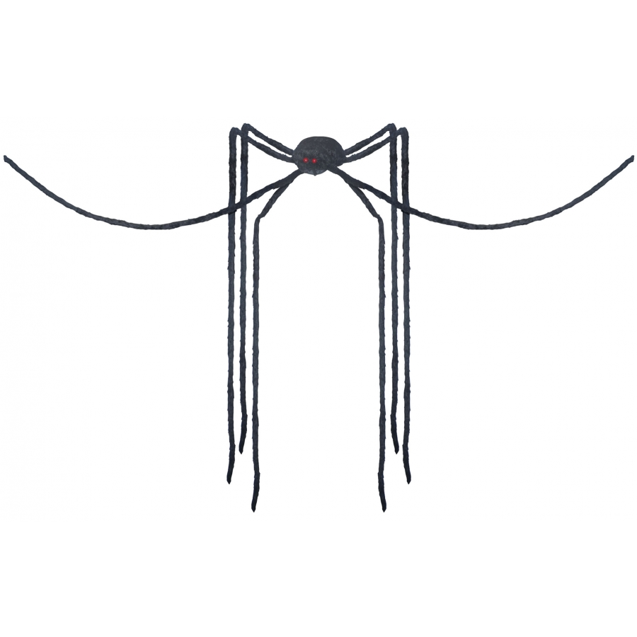 SPIDER BLACK LONG LEGS 1 SPIDER BLACK LONG LEGS