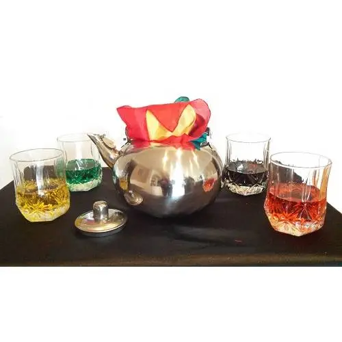 Magic Tea Kettle Stainless Steel By Timco Magic 1 Magic Tea Kettle Stainless Steel By Timco Magic